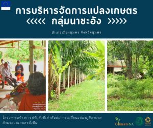 การบริหารจัดการแปลงเกษตร