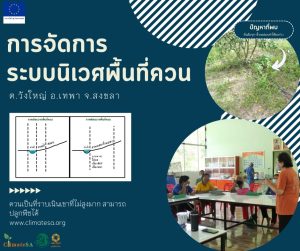 การจัดการระบบนิเวศพื้นที่ควน