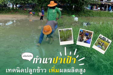 ธนาคารเมล็ดพันธุ์ชุมชน ฐานรากหนึ่งของอธิปไตยทางอาหาร