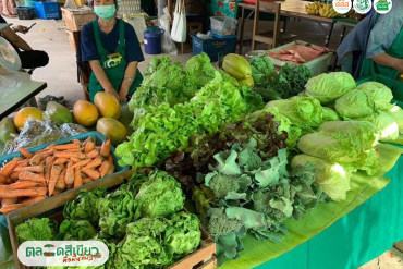 รู้จักรากที่มาของ “ตลาดเขียว” ในฐานะพื้นที่ “อธิปไตยทางอาหาร”