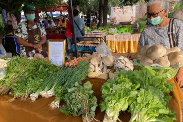 สรุปงานสวนผักคนจนเมือง กับเป้าหมายมุ่งสร้างความมั่นคงทางอาหาร