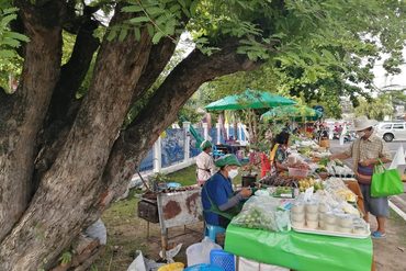 ความไม่มั่นคงด้านสถานที่ตั้งตลาดเขียว ความท้าทายและแนวทางออกที่เป็นไปได้